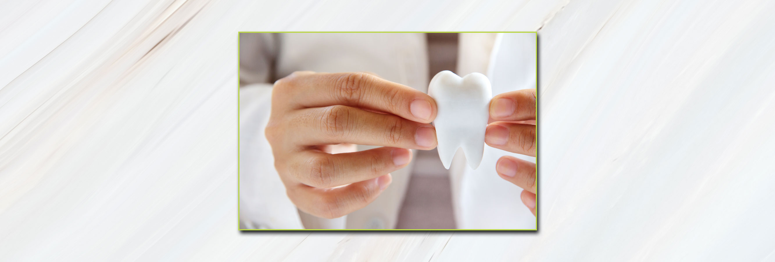 Dentist Holding Tooth Model